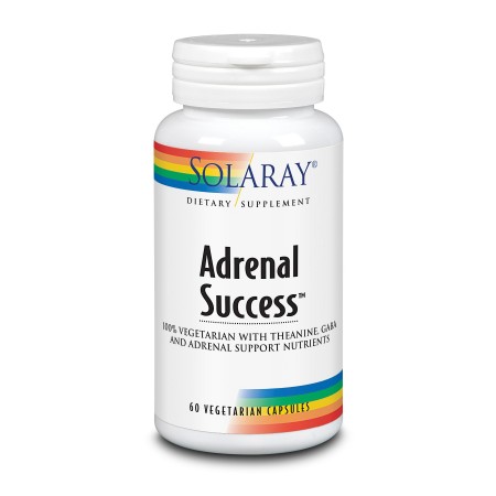 Adrenal Success  60 Caps